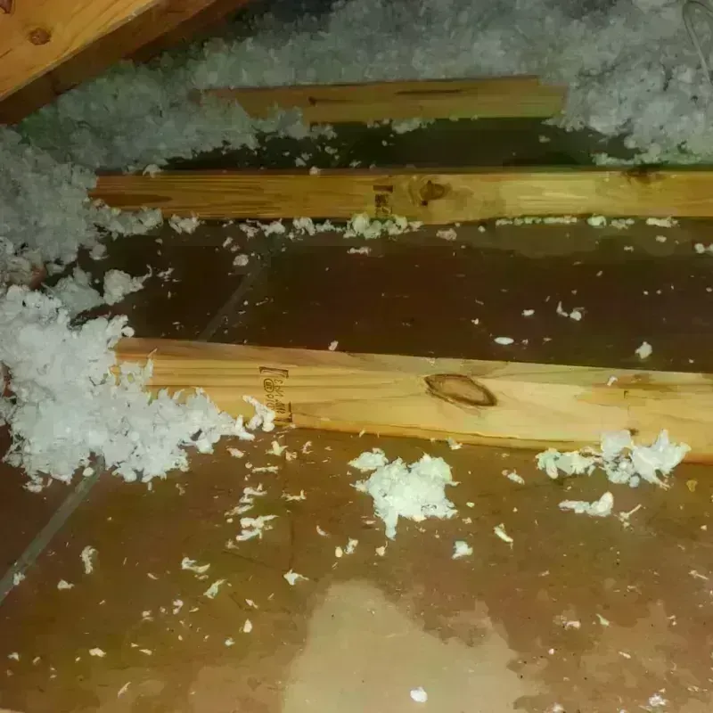 Attic Water Damage in Fremont, MI