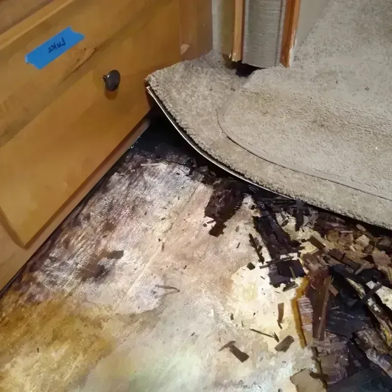 Wood Floor Water Damage in Fremont, MI